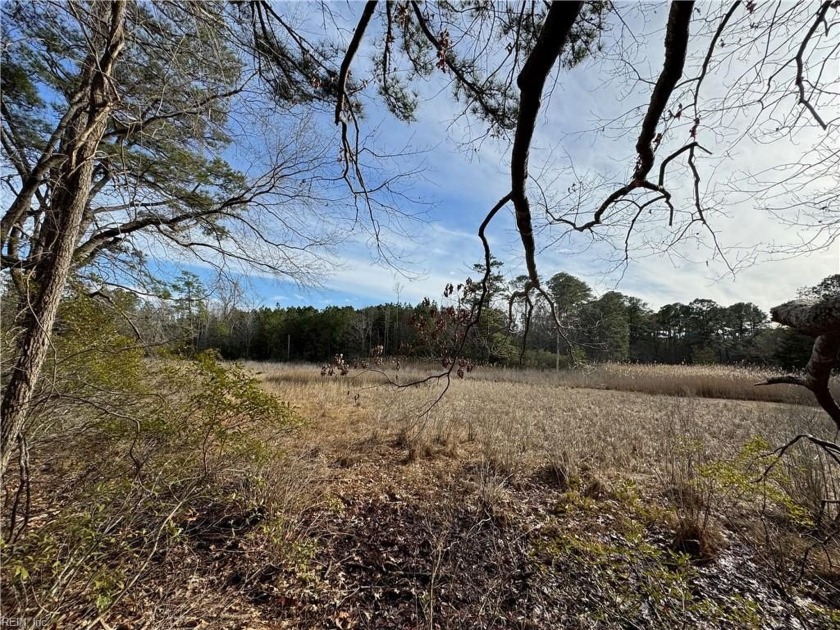 6 Acres of Pure Potential - Marsh Views, Peace  Privacy!  
 - Beach Acreage for sale in Hayes, Virginia on Beachhouse.com