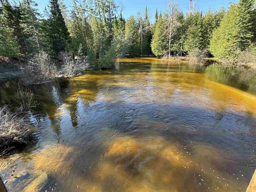 MAPLE RIVER PROPERTY FOR SALE! A rare opportunity awaits with - Beach Lot for sale in Brutus, Michigan on Beachhouse.com