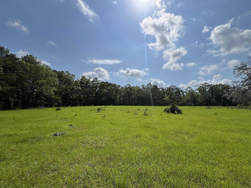 Welcome to your dream property! This stunning 25+/- acre parcel - Beach Acreage for sale in Perry, Florida on Beachhouse.com