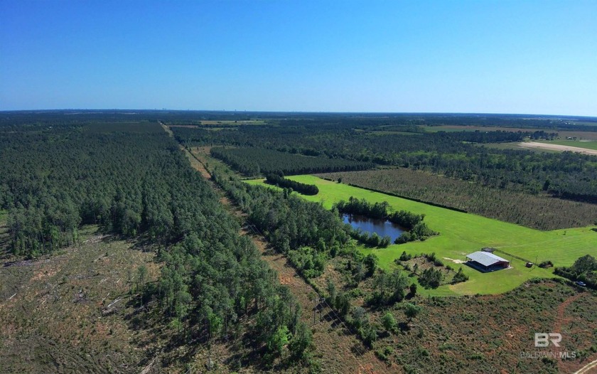 This exceptional property boasts many unique characteristics - Beach Acreage for sale in Elberta, Alabama on Beachhouse.com