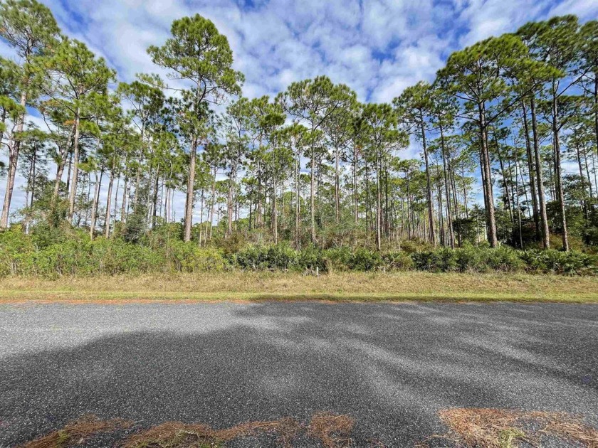 Beautiful 1.22-acre waterfront lot in the hidden subdivision of - Beach Lot for sale in Panacea, Florida on Beachhouse.com