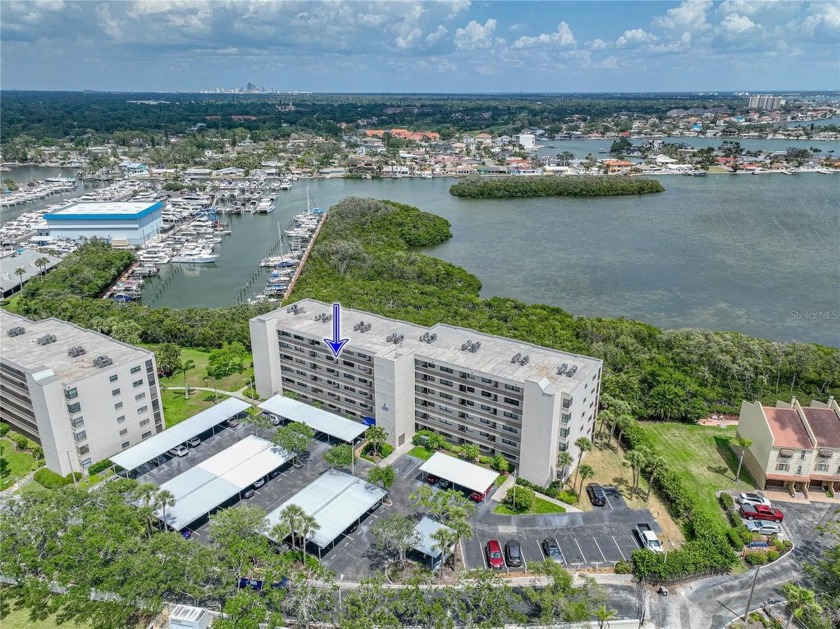 Under contract-accepting backup offers. GREAT PRICED Waterfront - Beach Condo for sale in South Pasadena, Florida on Beachhouse.com
