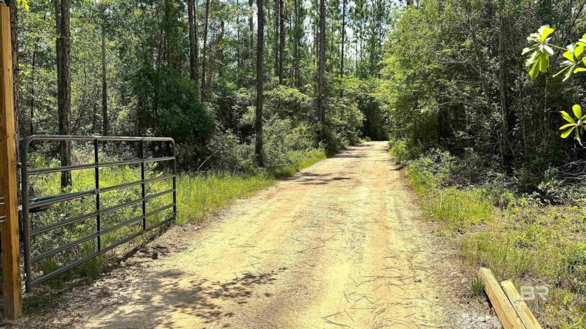 NEW LOWER PRICE! Discover this 14.57 secluded, heavily wooded - Beach Acreage for sale in Robertsdale, Alabama on Beachhouse.com