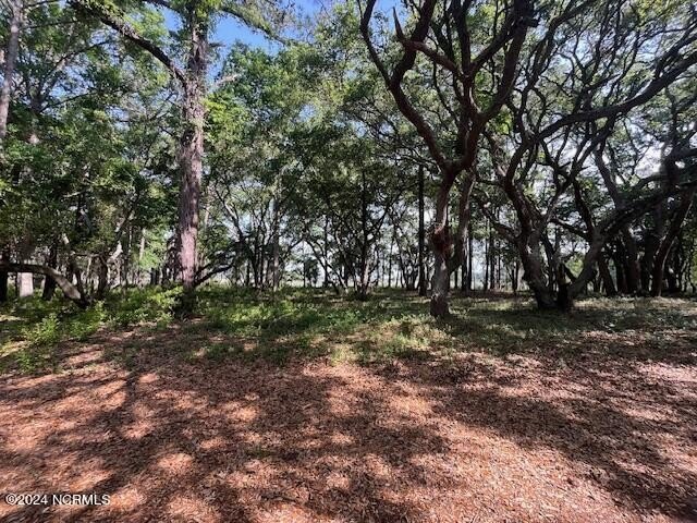 What a beautiful place to build your home under the age old live - Beach Lot for sale in Supply, North Carolina on Beachhouse.com