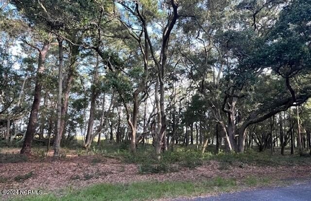 Build your home under the beautiful age old live oaks! Located - Beach Lot for sale in Supply, North Carolina on Beachhouse.com