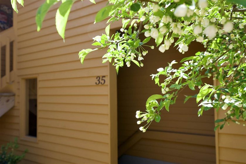 Prime Location & Limitless Potential at Trout Creek -   Discover - Beach Condo for sale in Harbor Springs, Michigan on Beachhouse.com