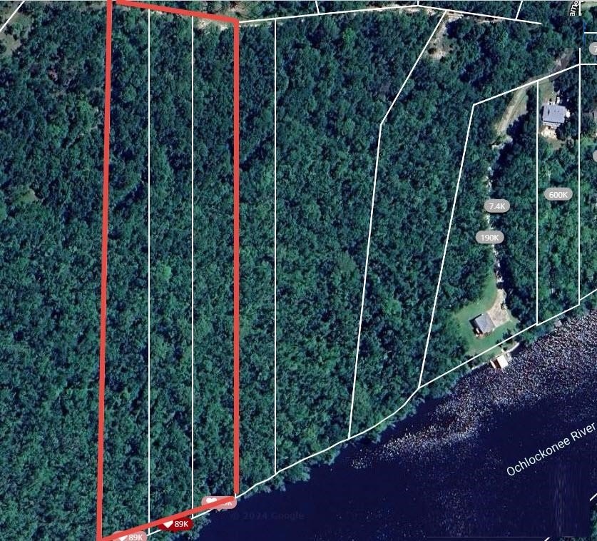 Don't miss your chance to own a prime lot on the Ochlockonee - Beach Acreage for sale in Sopchoppy, Florida on Beachhouse.com