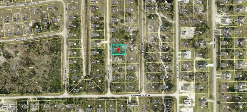 Excellent opportunity in an area with new construction homes - Beach Lot for sale in Lehigh Acres, Florida on Beachhouse.com