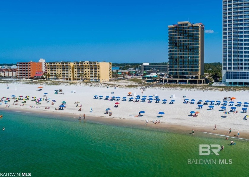 Seller is offering Owner Financing! Beachfront Investment - Beach Condo for sale in Gulf Shores, Alabama on Beachhouse.com
