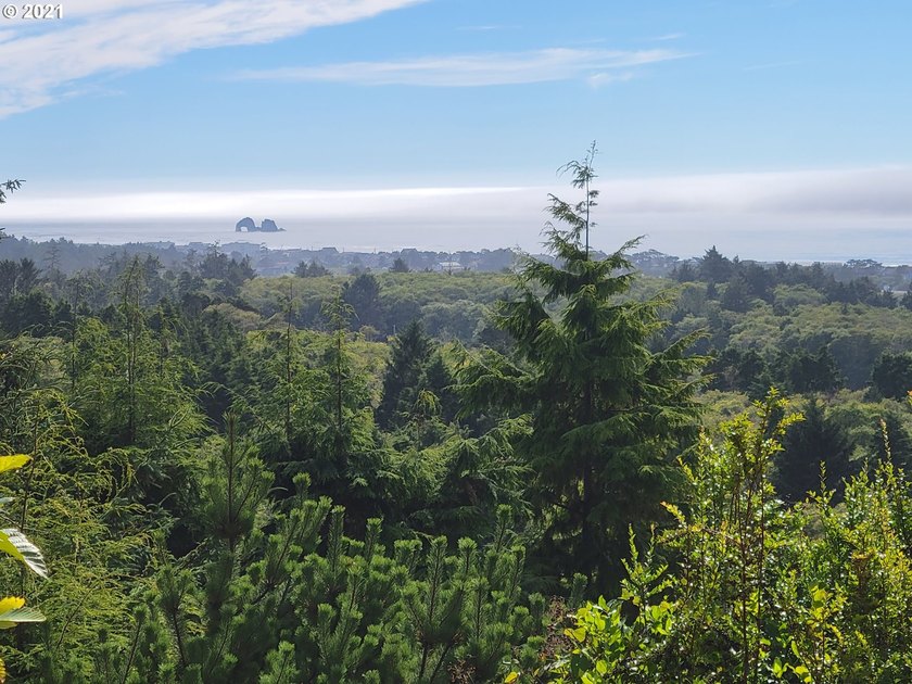 Nestled above the picturesque Rockaway Beach coastline, these - Beach Lot for sale in Rockaway Beach, Oregon on Beachhouse.com