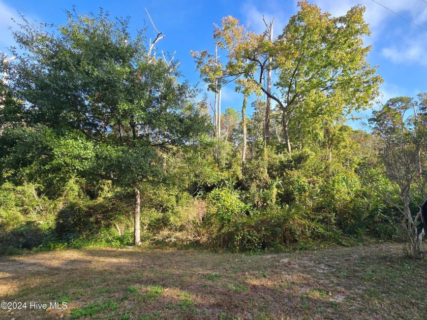 Approx. 2.47 Acres available now! Two (2) parcels being sold - Beach Acreage for sale in Ocean Isle Beach, North Carolina on Beachhouse.com