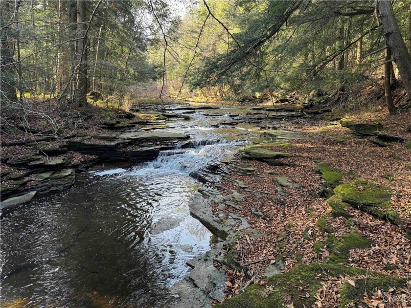 This 42 acre hunting and recreational property includes a - Beach Acreage for sale in Ripley, New York on Beachhouse.com