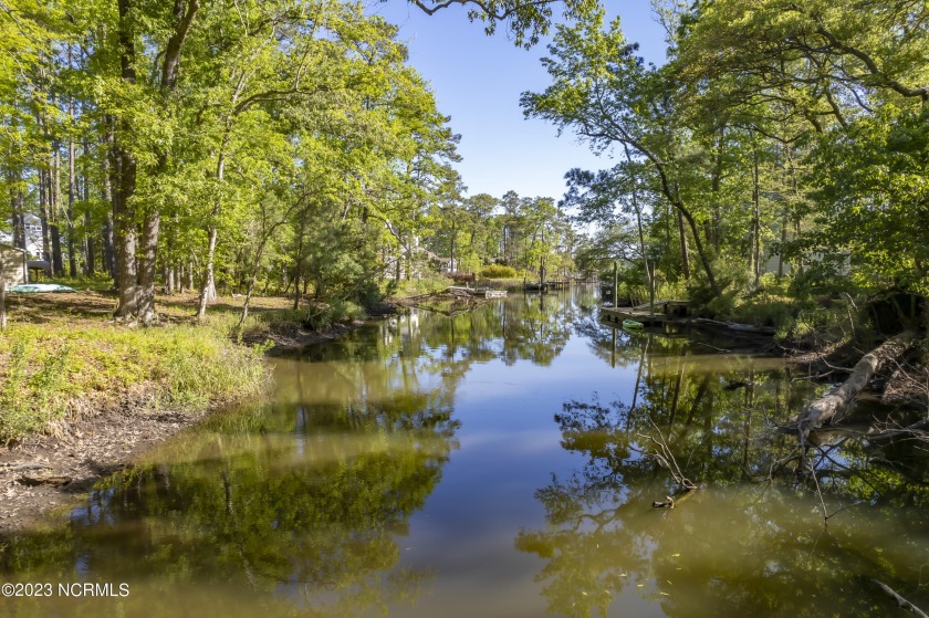 Private wooded waterfront lot on Otter Creek which is a - Beach Lot for sale in Oriental, North Carolina on Beachhouse.com