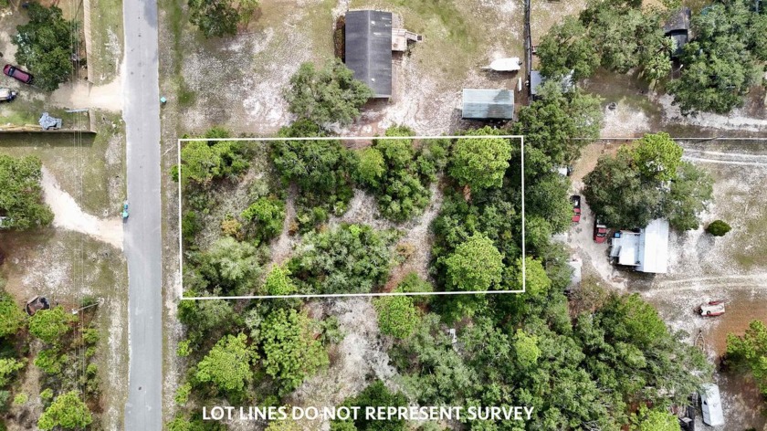 48 Acre lot with paved road access in the heart of the quaint - Beach Lot for sale in Panacea, Florida on Beachhouse.com