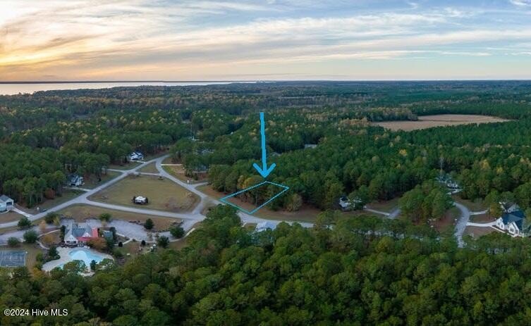 30+ feet above sea level means no flooding or flood insurance - Beach Lot for sale in Minnesott Beach, North Carolina on Beachhouse.com