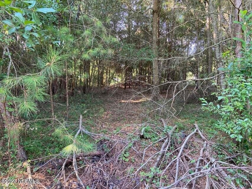 4 individual lots being sold together. Lot on Elkin has 2 bed - Beach Lot for sale in Supply, North Carolina on Beachhouse.com