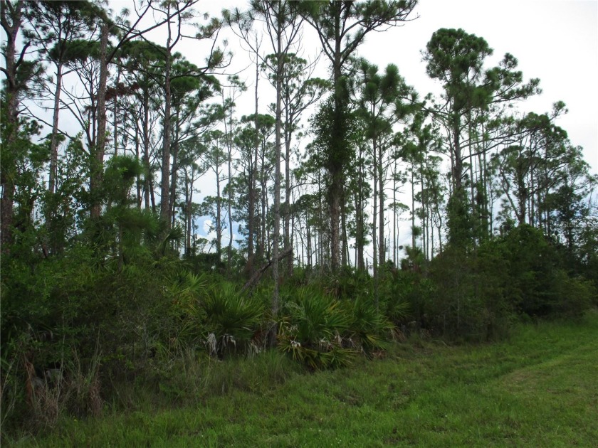 Residential building lot in quiet neighborhood. Like to fish - Beach Lot for sale in Port Charlotte, Florida on Beachhouse.com