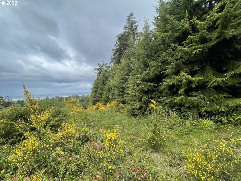 Incredible Views of Twin Rocks!  This lot has expansive view of - Beach Lot for sale in Garibaldi, Oregon on Beachhouse.com