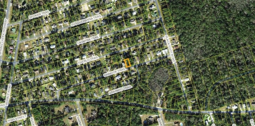 Look no further for your perfect spot for a home.  An array of - Beach Lot for sale in Crawfordville, Florida on Beachhouse.com