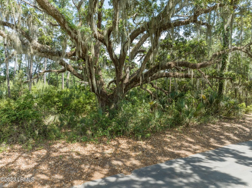 One of the largest, remaining cut-de-sac estate lots left on - Beach Lot for sale in Dataw Island, South Carolina on Beachhouse.com