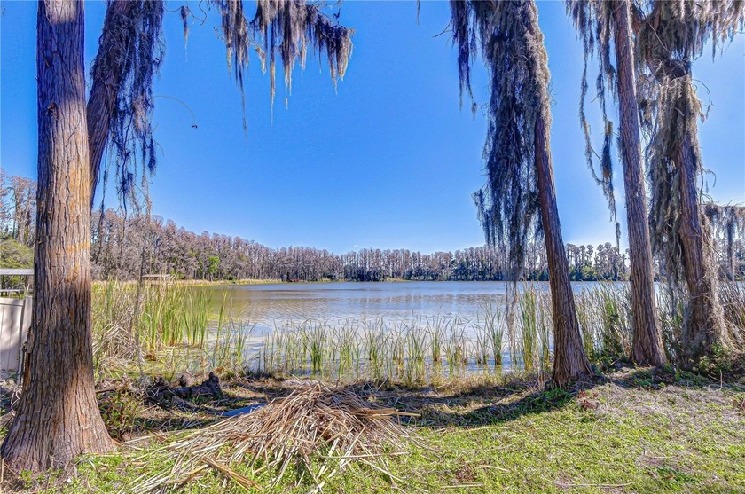 Opportunity to own 3 private acres on beautiful Wisteria Lake in - Beach Home for sale in Land O Lakes, Florida on Beachhouse.com