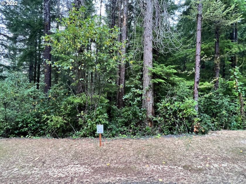 Build your dream home in beautiful tranquil Cedar Ridge on - Beach Lot for sale in Florence, Oregon on Beachhouse.com