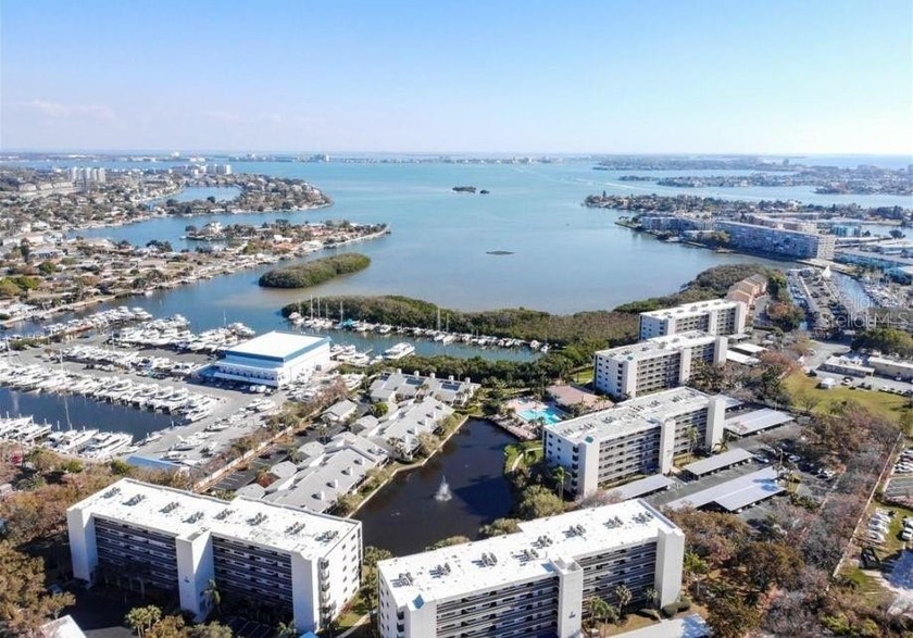 This FULLY FURNISHED beautifully updated Two-Bedroom - Beach Condo for sale in South Pasadena, Florida on Beachhouse.com