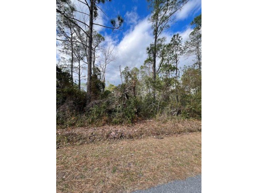 Welcome to your future dream home site. 
This wooded lot is - Beach Lot for sale in Southport, North Carolina on Beachhouse.com