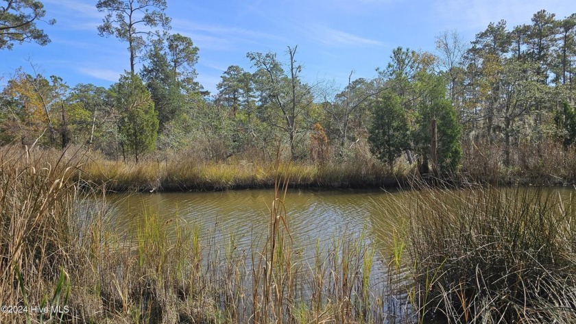 Unrestricted waterfront! This is your opportunity to own 3.5 - Beach Acreage for sale in Aurora, North Carolina on Beachhouse.com