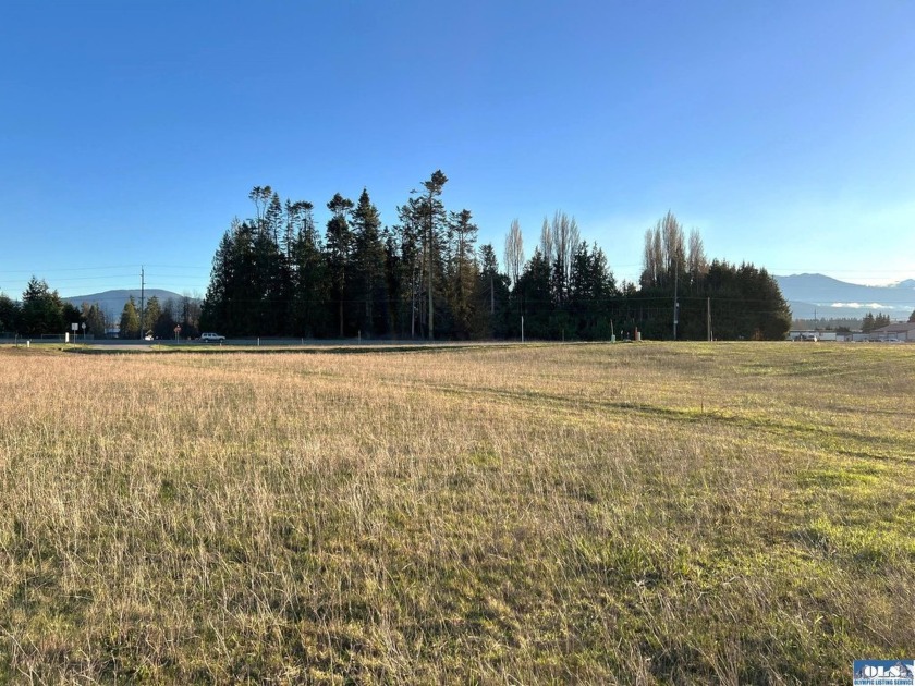 Prime 1 acre building lot with Olympic Mountain View and paved - Beach Lot for sale in Sequim, Washington on Beachhouse.com