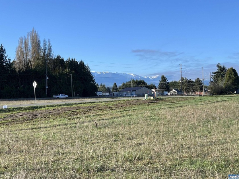 Prime 1 acre building lot with Olympic Mountain View and paved - Beach Lot for sale in Sequim, Washington on Beachhouse.com