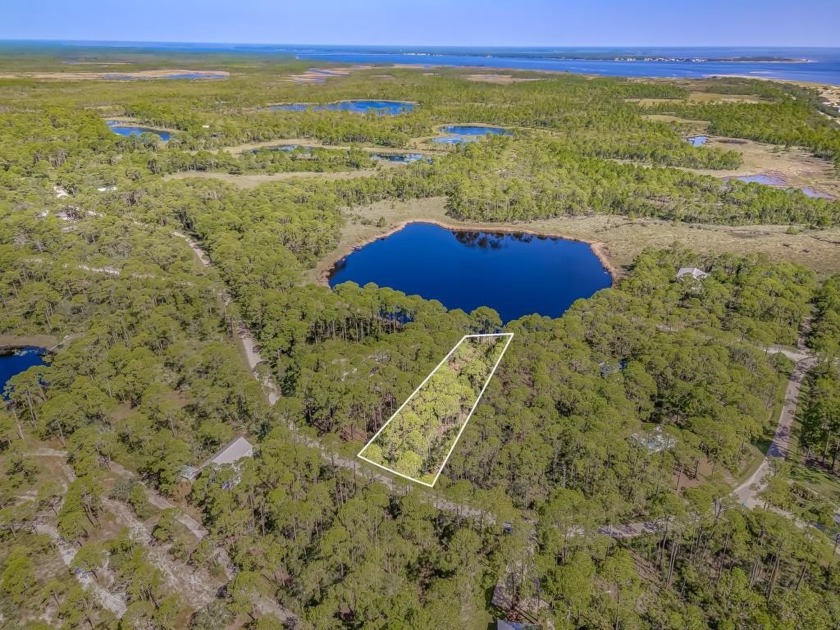 Private waterfront lot on Mullet Pond: a hidden gem for nature - Beach Lot for sale in Alligator Point, Florida on Beachhouse.com