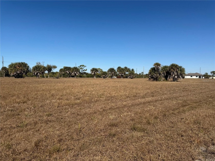 Discover the perfect setting for your future estate home on this - Beach Lot for sale in Placida, Florida on Beachhouse.com