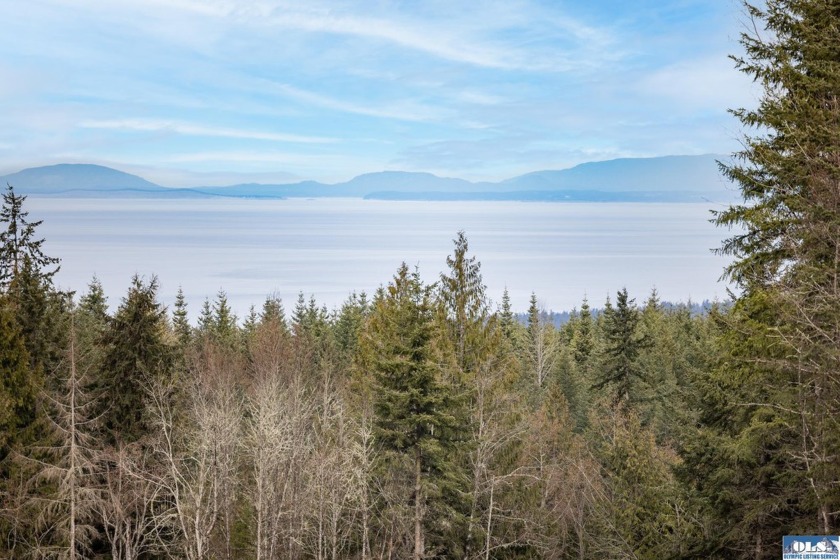 Discover your perfect canvas on this expansive 19+ acre parcel - Beach Acreage for sale in Sequim, Washington on Beachhouse.com