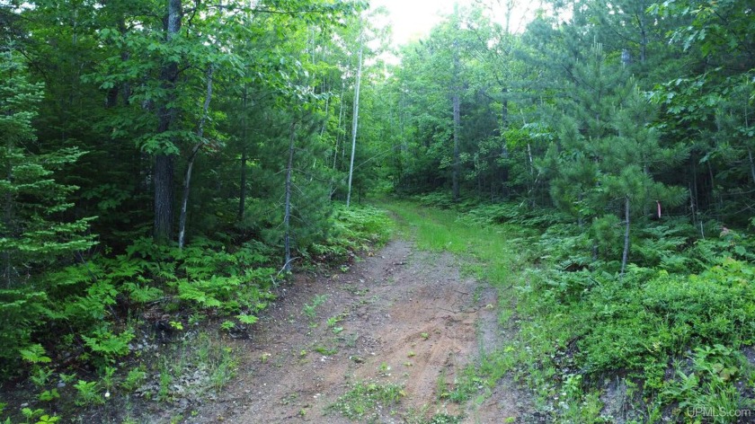 This +-240-acre parcel is ideally located between Marquette and - Beach Acreage for sale in Marquette, Michigan on Beachhouse.com