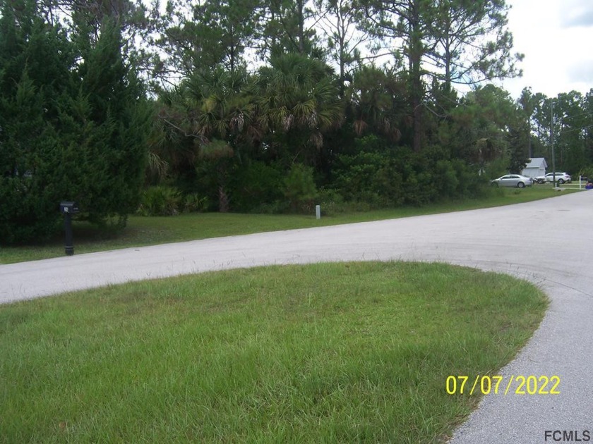 Affordable lot situated between two existing homes on a well - Beach Lot for sale in Palm Coast, Florida on Beachhouse.com