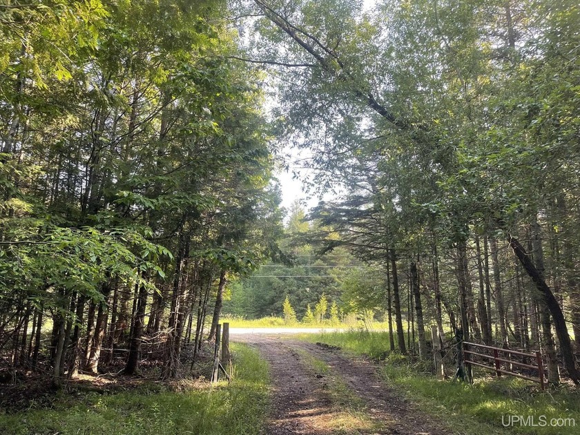 10 Acres with Road Frontage, Utilities, and Building Sites - - Beach Acreage for sale in Garden, Michigan on Beachhouse.com