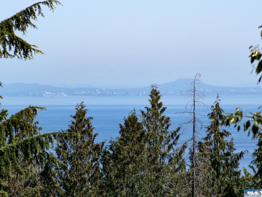 Appointed aside Black Diamond, offering views, privacy & much of - Beach Acreage for sale in Port Angeles, Washington on Beachhouse.com