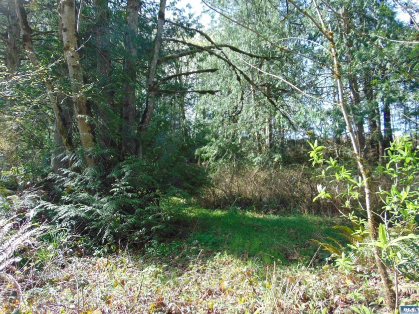 Secluded 4.5 acres with a roughed in driveway leading to a - Beach Acreage for sale in Sequim, Washington on Beachhouse.com