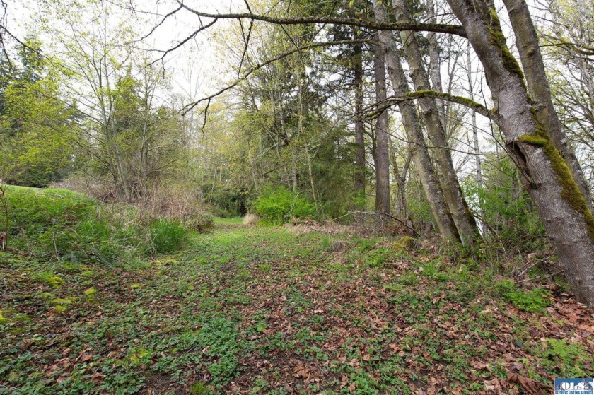 Lovely, private 2.44 acre parcel just inside the city limits - Beach Acreage for sale in Port Angeles, Washington on Beachhouse.com