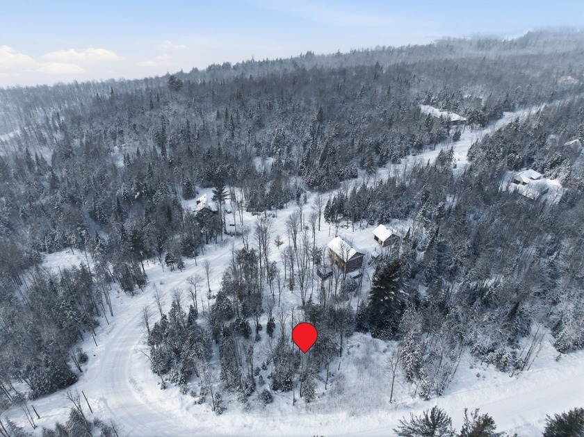 Ce magnifique terrain de 2 acres, situe au coeur de Boise du Lac - Beach Lot for sale in Eastman, QC on Beachhouse.com