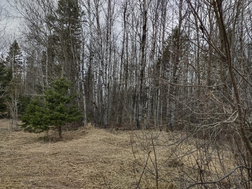 MICHIGAN 40 +/- ACRE PARCEL FOR SALE! It is in North-Central - Beach Acreage for sale in L Anse, Michigan on Beachhouse.com