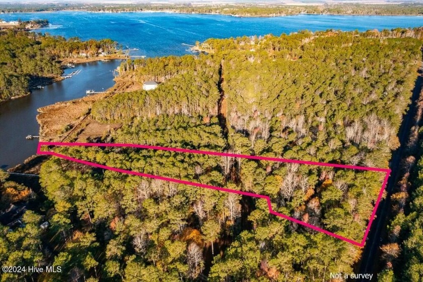 Discover a rare opportunity to own a beautifully wooded - Beach Acreage for sale in Merritt, North Carolina on Beachhouse.com