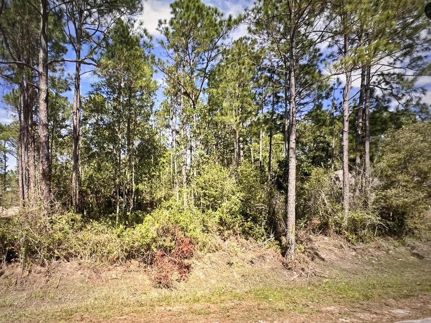 Build on one of the last lots in Holly By The Sea! Located 3.2 - Beach Lot for sale in Navarre, Florida on Beachhouse.com