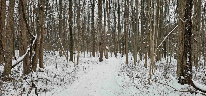 Looking for an economical and convenient location to hang a tree - Beach Acreage for sale in Wolcott, New York on Beachhouse.com