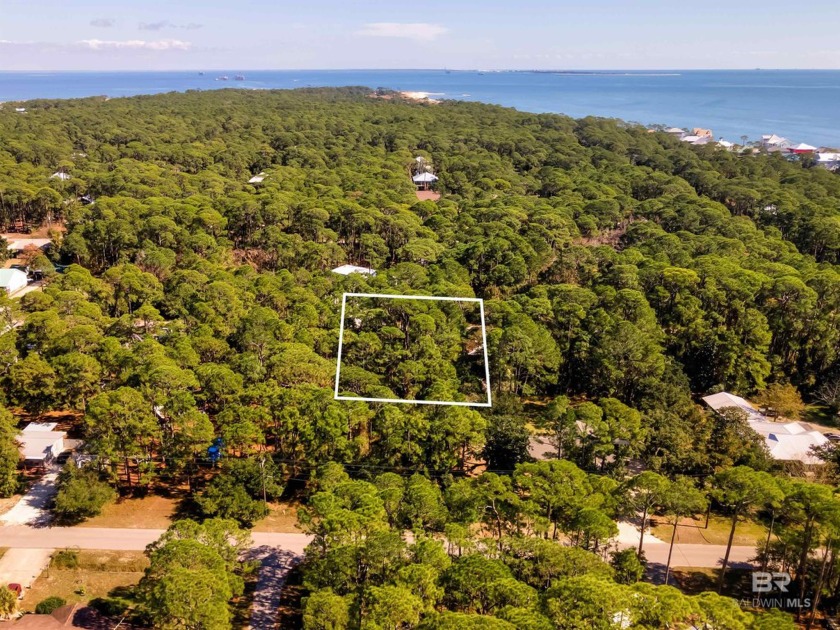 Fall in love with the laid back lifestyle that Dauphin Island - Beach Lot for sale in Dauphin Island, Alabama on Beachhouse.com
