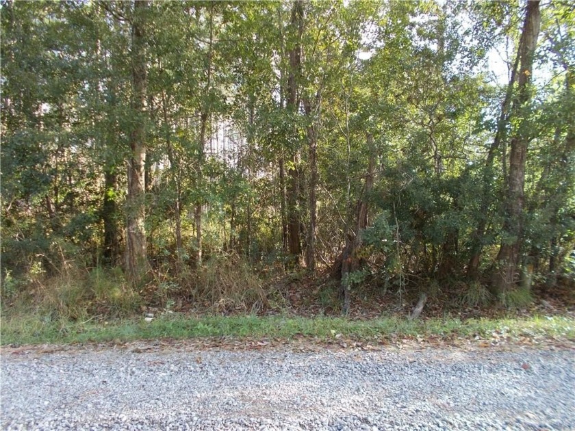 LOOKING FOR A GREAT AREA FOR A MOBILE HOME, TRAVEL TRAILER OR - Beach Lot for sale in Coden, Alabama on Beachhouse.com