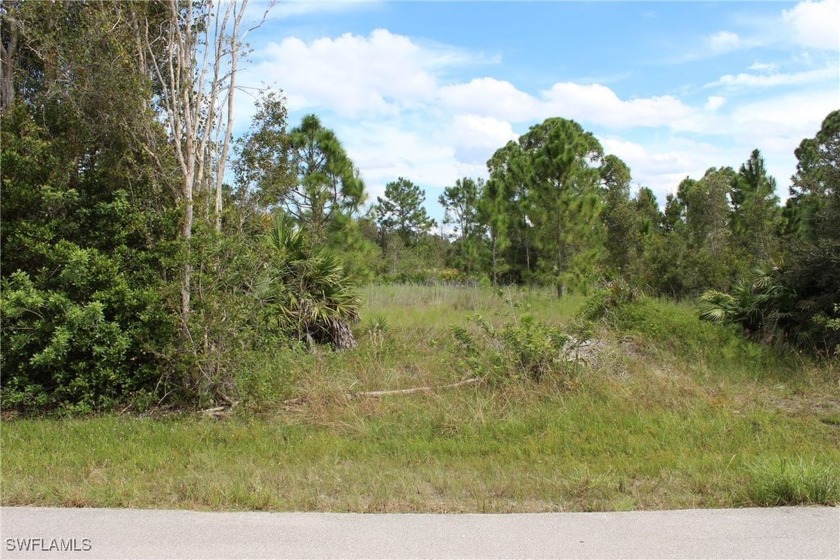 A private oasis awaits! This quarter acre lot is located in NE - Beach Lot for sale in Lehigh Acres, Florida on Beachhouse.com