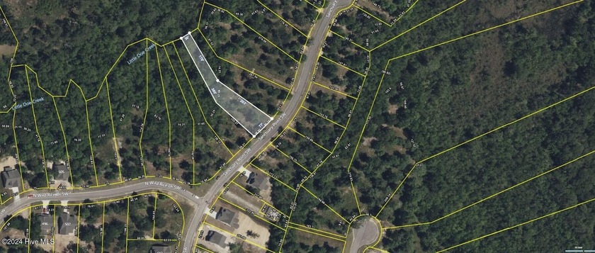 Build your dream home on this large lot, .42 of an acre. Located - Beach Lot for sale in Supply, North Carolina on Beachhouse.com