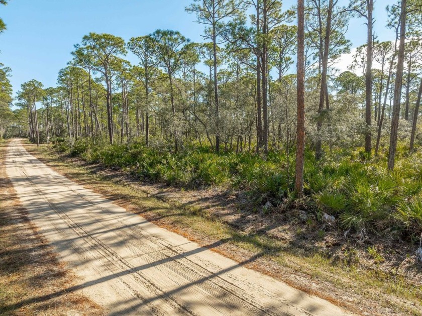 Nestled on picturesque Lakeview Drive in the serene Bald Point - Beach Lot for sale in Bald Point, Florida on Beachhouse.com